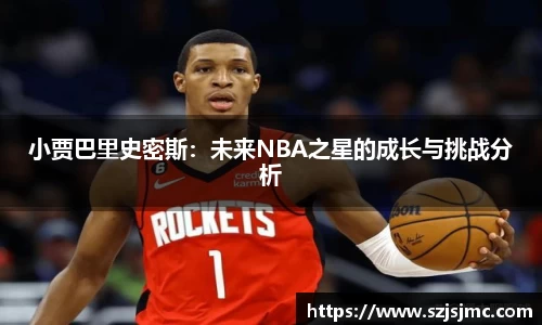 必一运动b-sports官方网站