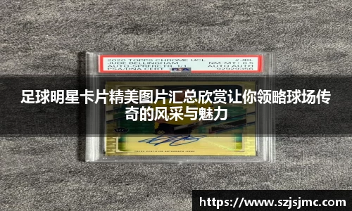 必一运动b-sports官网