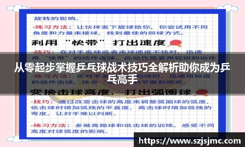 从零起步掌握乒乓球战术技巧全解析助你成为乒乓高手