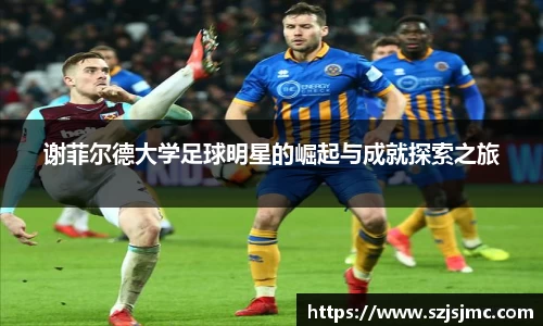 必一运动b-sports平台